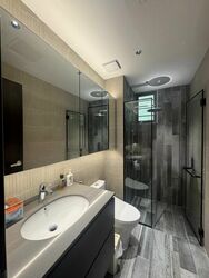 The Raintree (D21), Condominium #466610671